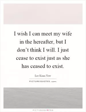 I wish I can meet my wife in the hereafter, but I don’t think I will. I just cease to exist just as she has ceased to exist Picture Quote #1