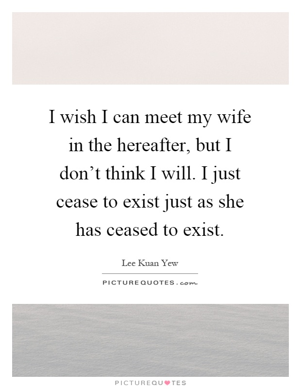 I wish I can meet my wife in the hereafter, but I don't think I will. I just cease to exist just as she has ceased to exist Picture Quote #1