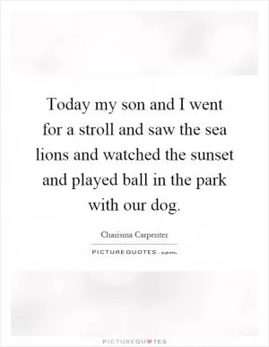 Today my son and I went for a stroll and saw the sea lions and watched the sunset and played ball in the park with our dog Picture Quote #1