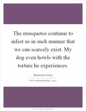 The musquetos continue to infest us in such manner that we can scarcely exist. My dog even howls with the torture he experiences Picture Quote #1