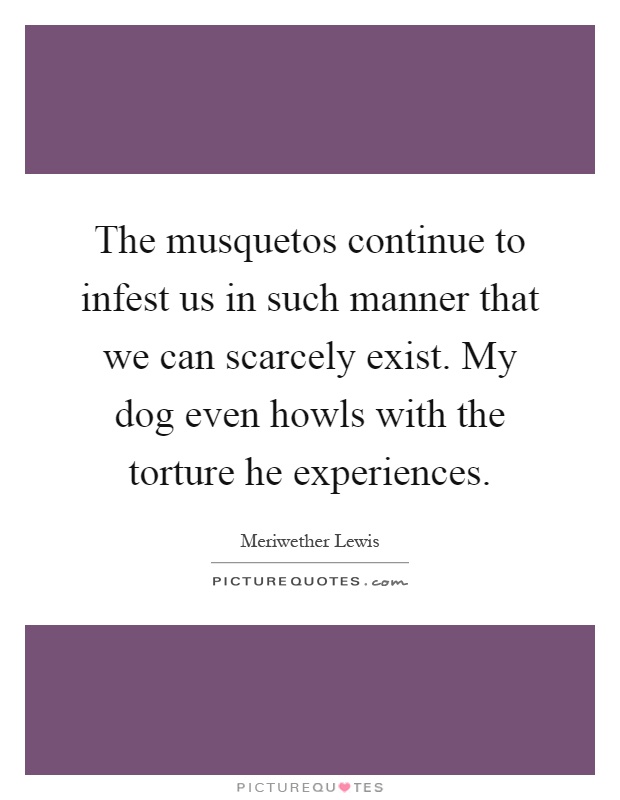 The musquetos continue to infest us in such manner that we can scarcely exist. My dog even howls with the torture he experiences Picture Quote #1
