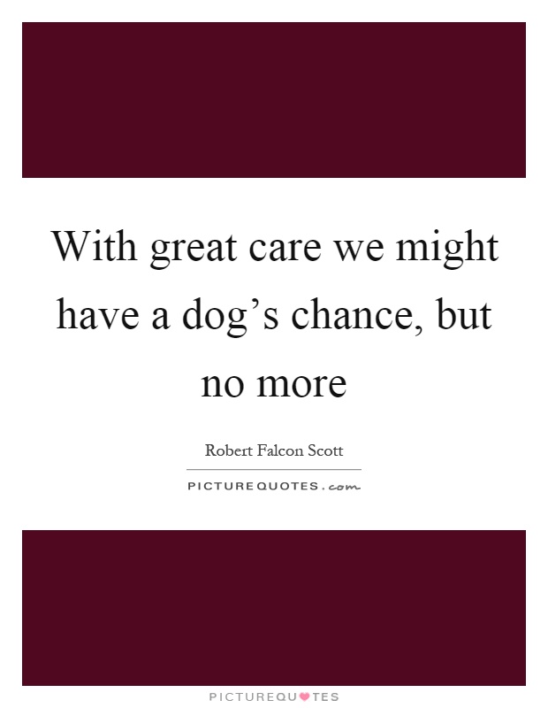 With great care we might have a dog's chance, but no more Picture Quote #1