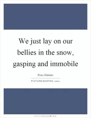 We just lay on our bellies in the snow, gasping and immobile Picture Quote #1