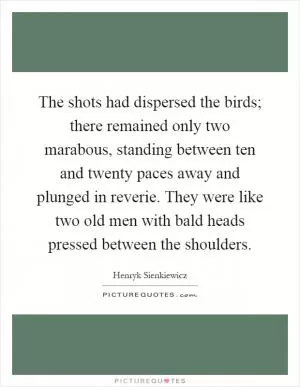 The shots had dispersed the birds; there remained only two marabous, standing between ten and twenty paces away and plunged in reverie. They were like two old men with bald heads pressed between the shoulders Picture Quote #1