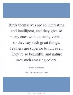 Birds themselves are so interesting and intelligent, and they give so many cues without being verbal, so they say such great things. Feathers are superior to fur, even. They’re so beautiful, and nature uses such amazing colors Picture Quote #1