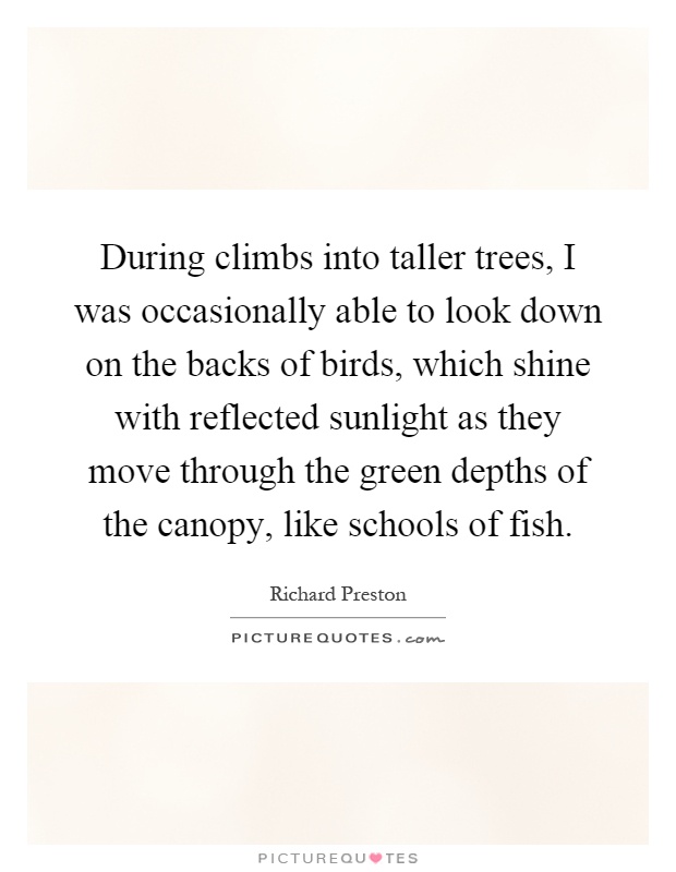 During climbs into taller trees, I was occasionally able to look down on the backs of birds, which shine with reflected sunlight as they move through the green depths of the canopy, like schools of fish Picture Quote #1
