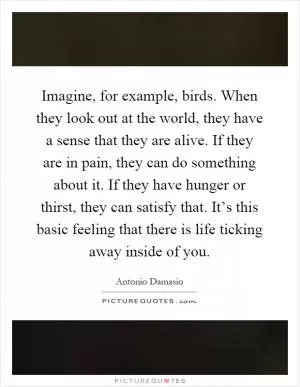 Imagine, for example, birds. When they look out at the world, they have a sense that they are alive. If they are in pain, they can do something about it. If they have hunger or thirst, they can satisfy that. It’s this basic feeling that there is life ticking away inside of you Picture Quote #1