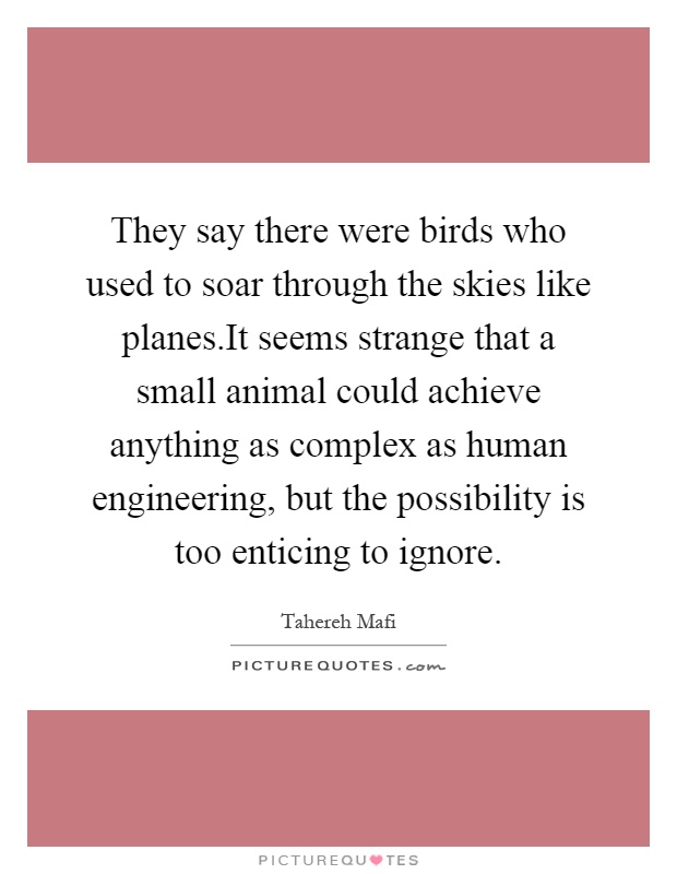 They say there were birds who used to soar through the skies like planes.It seems strange that a small animal could achieve anything as complex as human engineering, but the possibility is too enticing to ignore Picture Quote #1