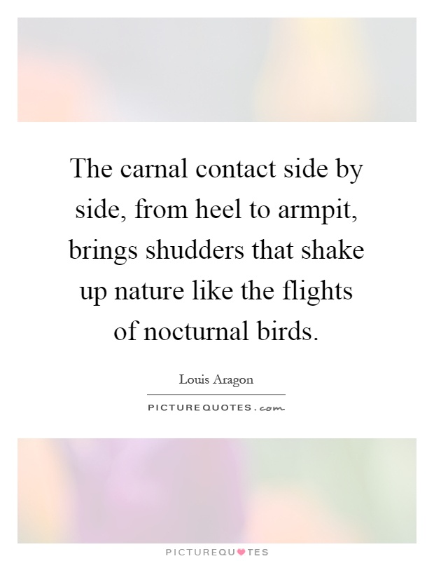 The carnal contact side by side, from heel to armpit, brings shudders that shake up nature like the flights of nocturnal birds Picture Quote #1