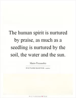The human spirit is nurtured by praise, as much as a seedling is nurtured by the soil, the water and the sun Picture Quote #1