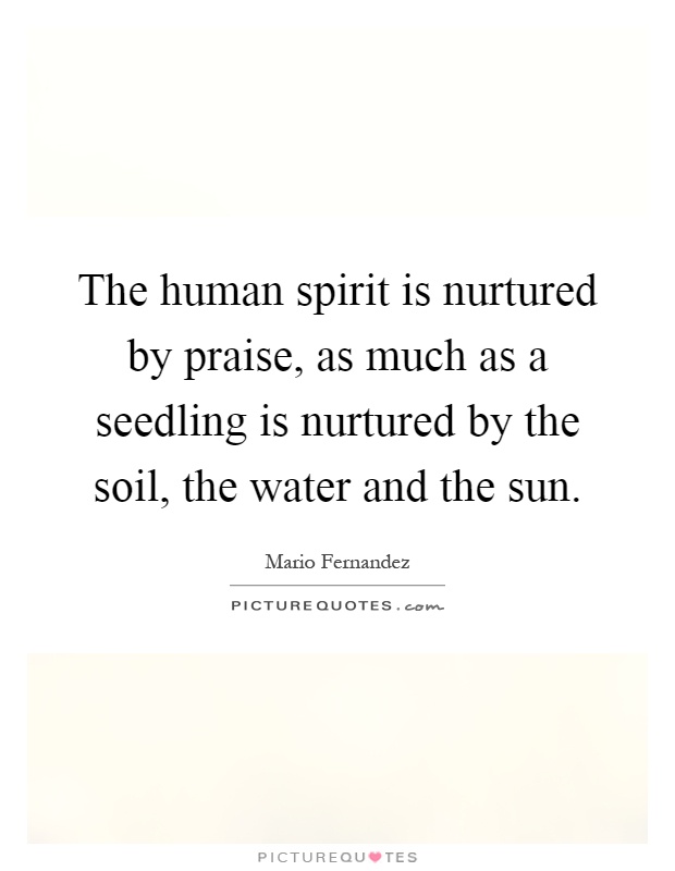 The human spirit is nurtured by praise, as much as a seedling is nurtured by the soil, the water and the sun Picture Quote #1