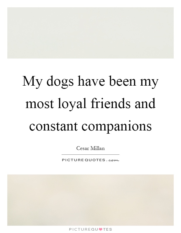 My dogs have been my most loyal friends and constant companions Picture Quote #1
