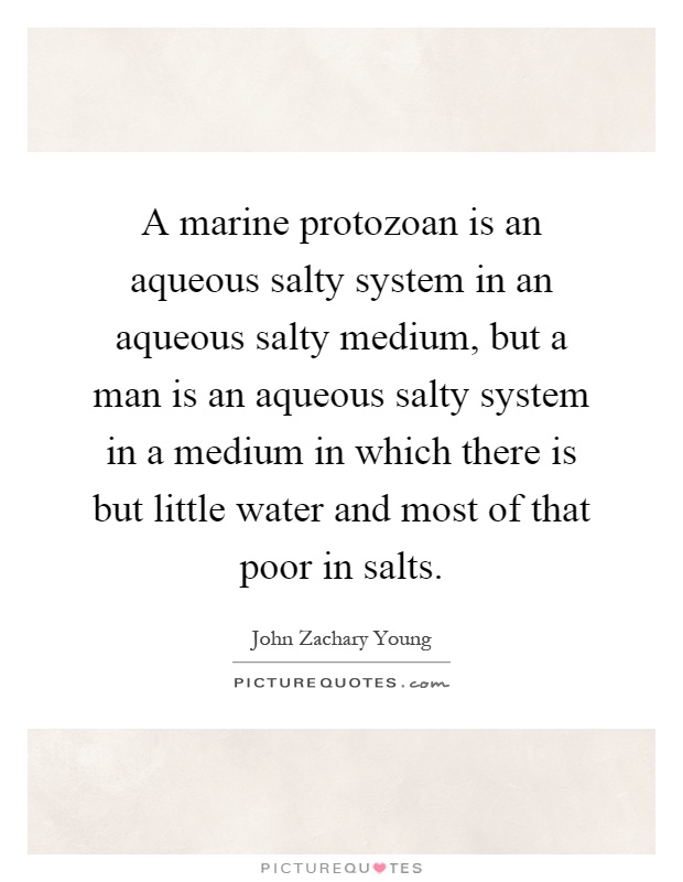 A marine protozoan is an aqueous salty system in an aqueous salty medium, but a man is an aqueous salty system in a medium in which there is but little water and most of that poor in salts Picture Quote #1