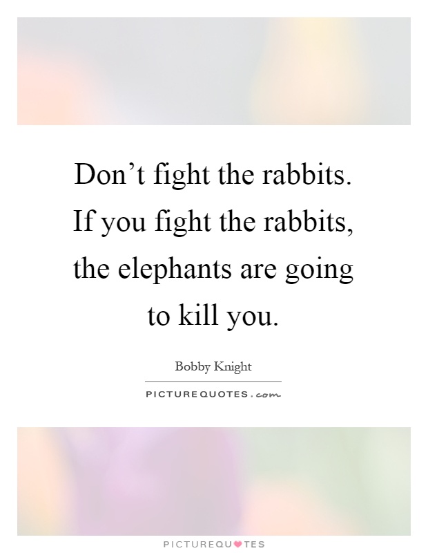 Don't fight the rabbits. If you fight the rabbits, the elephants are going to kill you Picture Quote #1