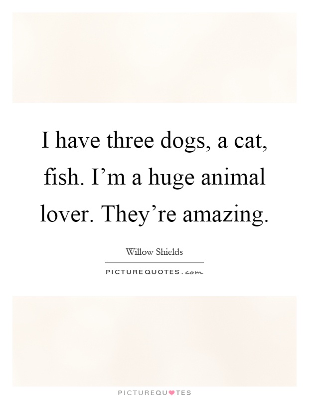 I have three dogs, a cat, fish. I'm a huge animal lover. They're amazing Picture Quote #1