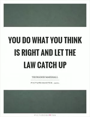 You do what you think is right and let the law catch up Picture Quote #1