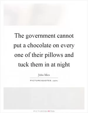 The government cannot put a chocolate on every one of their pillows and tuck them in at night Picture Quote #1