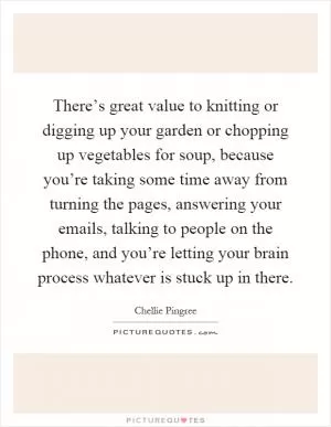 There’s great value to knitting or digging up your garden or chopping up vegetables for soup, because you’re taking some time away from turning the pages, answering your emails, talking to people on the phone, and you’re letting your brain process whatever is stuck up in there Picture Quote #1