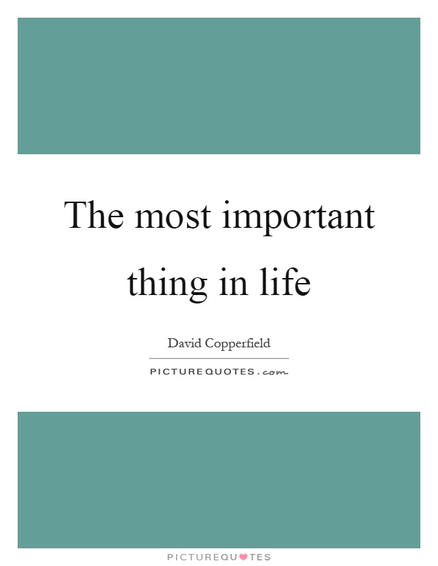 The most important thing in life Picture Quote #1