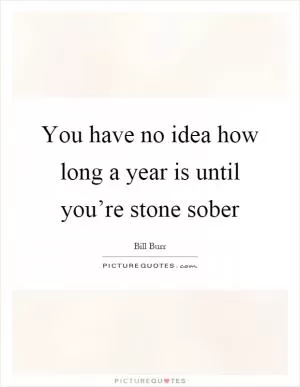 You have no idea how long a year is until you’re stone sober Picture Quote #1