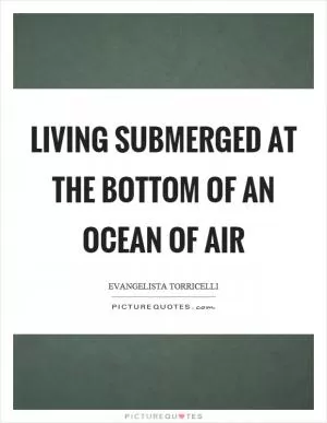 Living submerged at the bottom of an ocean of air Picture Quote #1