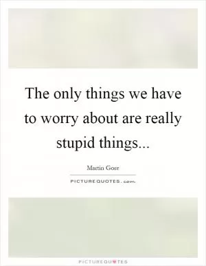 The only things we have to worry about are really stupid things Picture Quote #1
