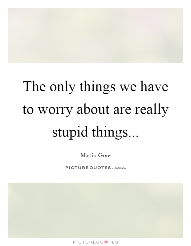 The only things we have to worry about are really stupid things Picture Quote #1