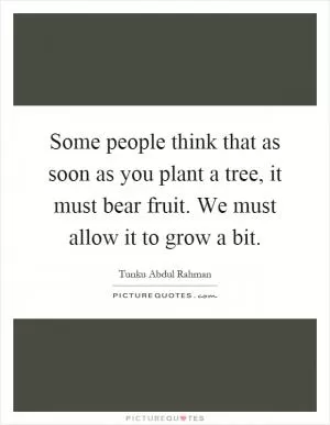 Some people think that as soon as you plant a tree, it must bear fruit. We must allow it to grow a bit Picture Quote #1