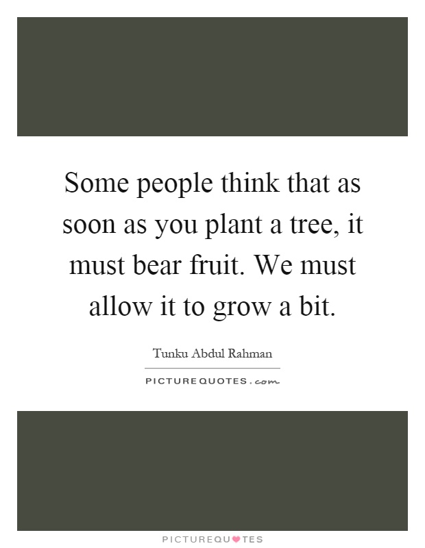 Some people think that as soon as you plant a tree, it must bear fruit. We must allow it to grow a bit Picture Quote #1
