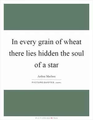 In every grain of wheat there lies hidden the soul of a star Picture Quote #1