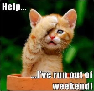 Help... I’ve run out of weekend! Picture Quote #1