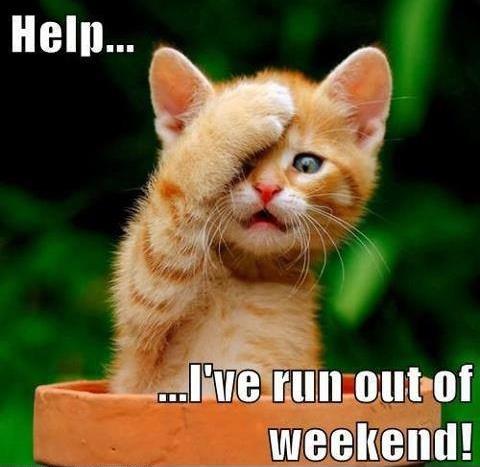 Help... I've run out of weekend! Picture Quote #1