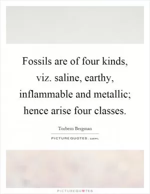 Fossils are of four kinds, viz. saline, earthy, inflammable and metallic; hence arise four classes Picture Quote #1