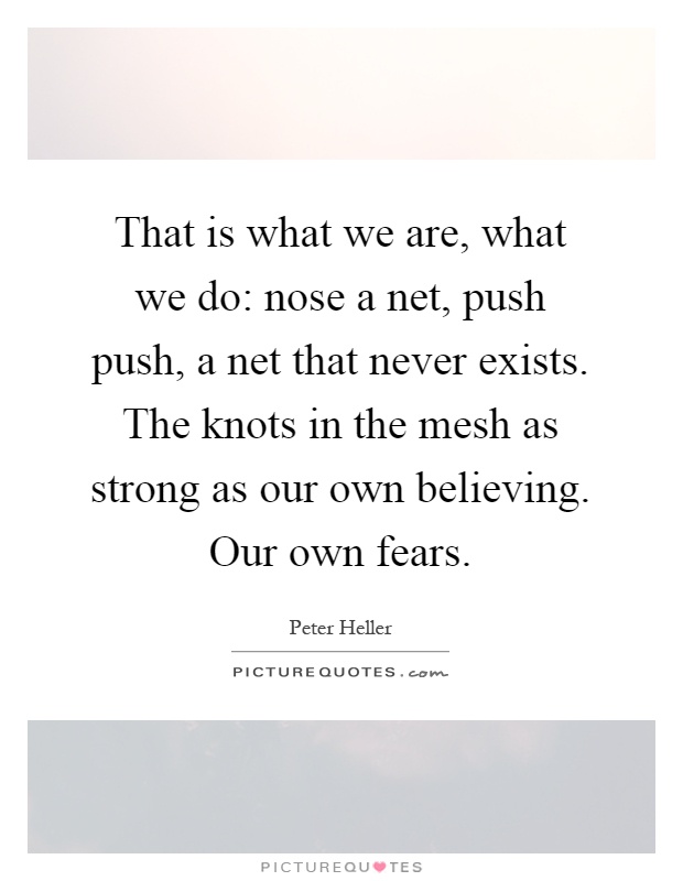 That is what we are, what we do: nose a net, push push, a net that never exists. The knots in the mesh as strong as our own believing. Our own fears Picture Quote #1
