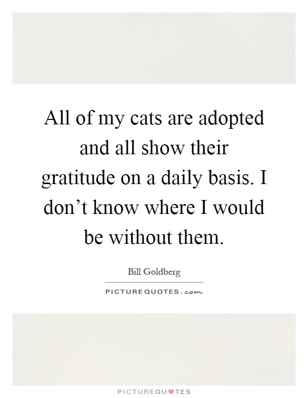 All of my cats are adopted and all show their gratitude on a daily basis. I don't know where I would be without them Picture Quote #1