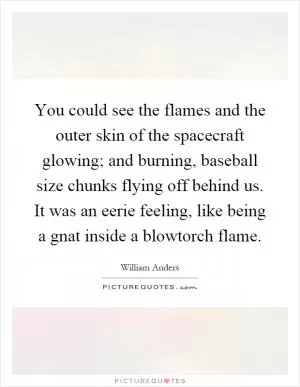 You could see the flames and the outer skin of the spacecraft glowing; and burning, baseball size chunks flying off behind us. It was an eerie feeling, like being a gnat inside a blowtorch flame Picture Quote #1