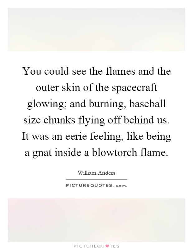You could see the flames and the outer skin of the spacecraft glowing; and burning, baseball size chunks flying off behind us. It was an eerie feeling, like being a gnat inside a blowtorch flame Picture Quote #1