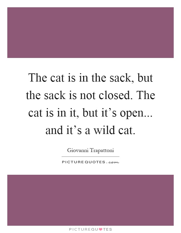 The cat is in the sack, but the sack is not closed. The cat is in it, but it's open... and it's a wild cat Picture Quote #1