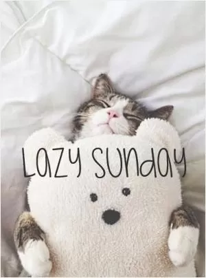 Lazy sunday Picture Quote #1