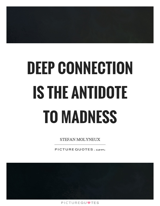 Deep connection is the antidote to madness Picture Quote #1