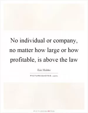 No individual or company, no matter how large or how profitable, is above the law Picture Quote #1