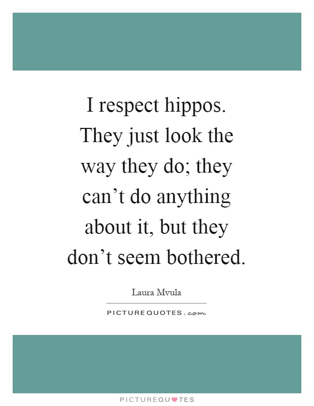 I respect hippos. They just look the way they do; they can't do anything about it, but they don't seem bothered Picture Quote #1