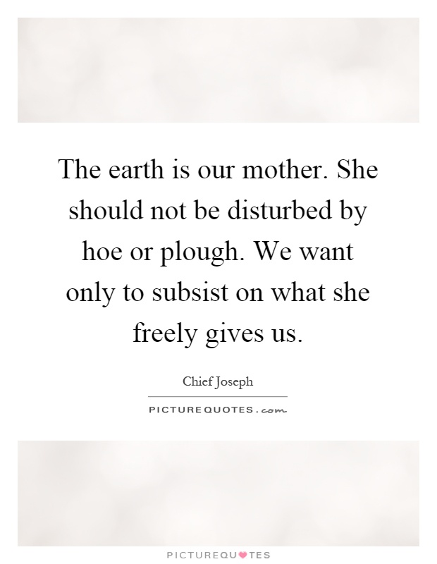 The earth is our mother. She should not be disturbed by hoe or plough. We want only to subsist on what she freely gives us Picture Quote #1