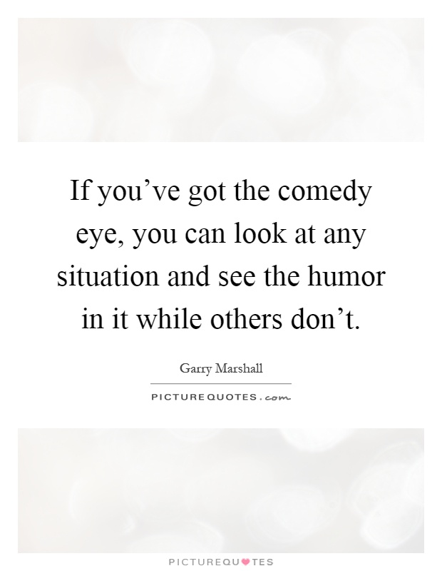 If you've got the comedy eye, you can look at any situation and see the humor in it while others don't Picture Quote #1