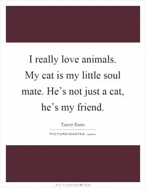 I really love animals. My cat is my little soul mate. He’s not just a cat, he’s my friend Picture Quote #1