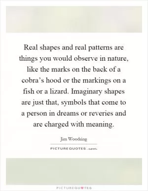 Real shapes and real patterns are things you would observe in nature, like the marks on the back of a cobra’s hood or the markings on a fish or a lizard. Imaginary shapes are just that, symbols that come to a person in dreams or reveries and are charged with meaning Picture Quote #1