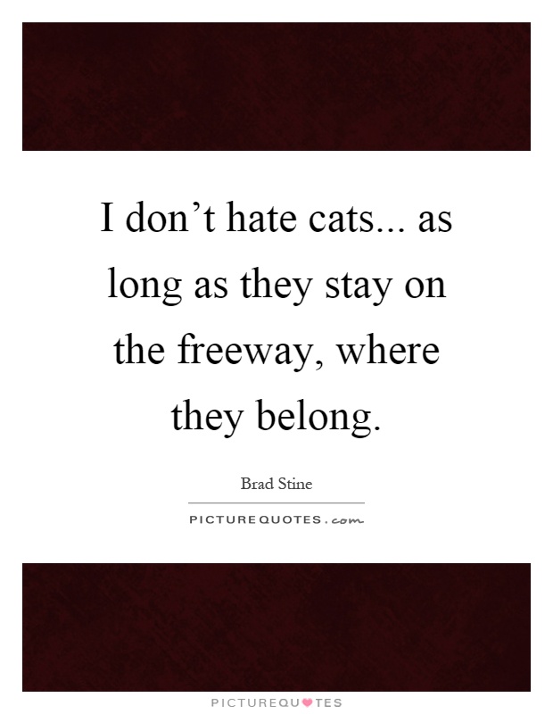 I don't hate cats... as long as they stay on the freeway, where they belong Picture Quote #1