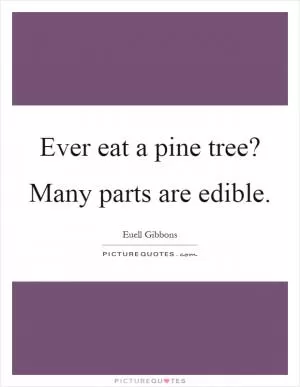Ever eat a pine tree? Many parts are edible Picture Quote #1