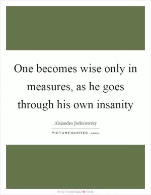 One becomes wise only in measures, as he goes through his own insanity Picture Quote #1