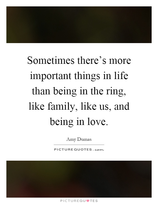 Sometimes there's more important things in life than being in the ring, like family, like us, and being in love Picture Quote #1